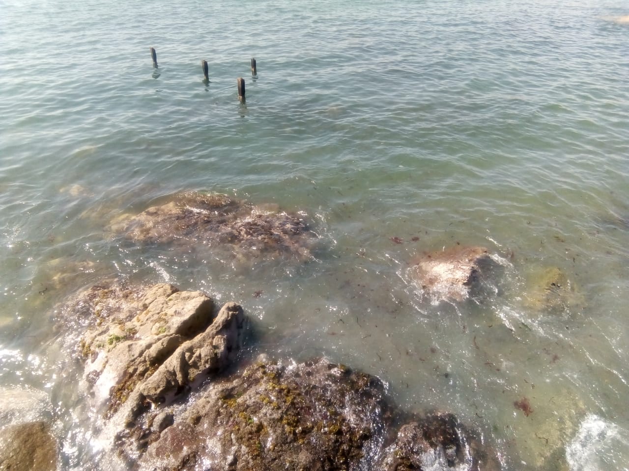 Municipalidad de Iquique denuncia ante la SISS por derrame de aguas servidas en El Morro